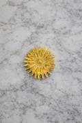 Hijab Brooche - Sun